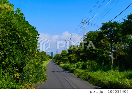 千葉県習志野茜浜周辺の風景2023年8月 千葉県習志野茜浜周辺の風景2023年8月 106052403