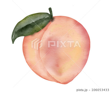peach fruit watercolor illustration isolated element peach fruit watercolor illustration isolated element 106053433