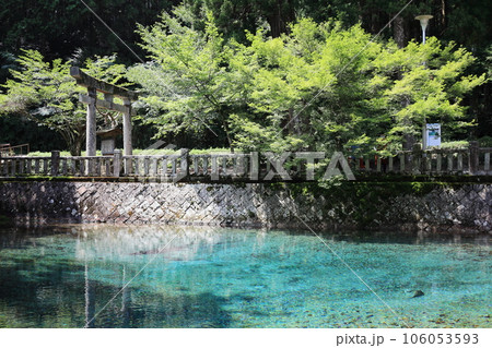 山口県美祢_別府弁天池➃ 山口県美祢_別府弁天池➃ 106053593