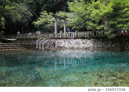山口県美祢_別府弁天池⑦ 山口県美祢_別府弁天池⑦ 106053596