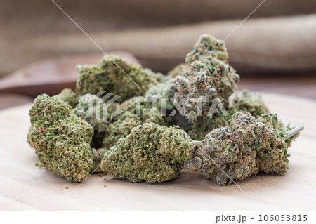Cannabis Cannabis 106053815