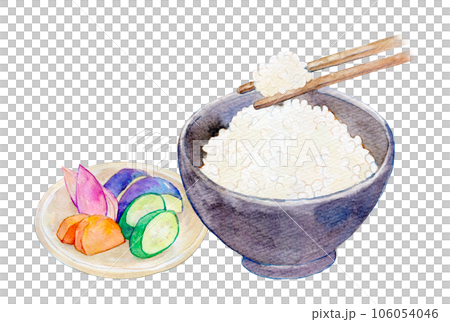 水彩イラスト　ご飯とお漬け物 106054046