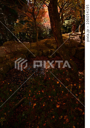 播州清水寺の紅葉 106054195