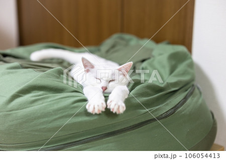 両手をまっすぐ伸ばして寝る猫 両手をまっすぐ伸ばして寝る猫 106054413