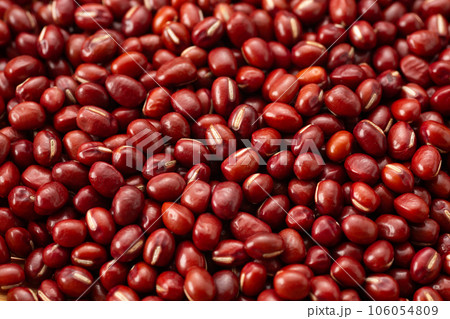 大納言小豆 106054809