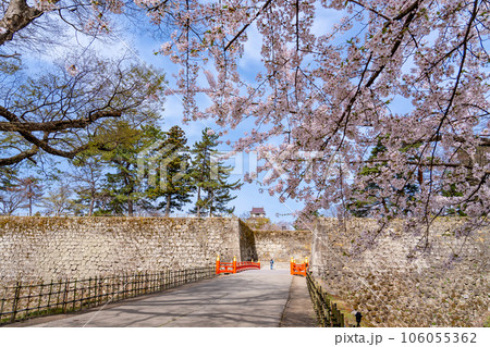 福島県会津若松市 天守閣を眺める桜咲く春の会津若松城のお堀と廊下橋 福島県会津若松市 天守閣を眺める桜咲く春の会津若松城のお堀と廊下橋 106055362