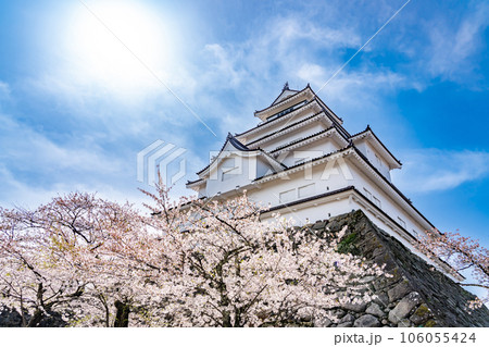 福島県会津若松市 桜咲く春の会津若松城の天守閣と石垣 福島県会津若松市 桜咲く春の会津若松城の天守閣と石垣 106055424