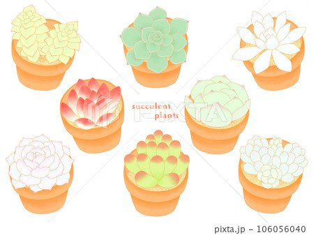 多肉植物のミニ鉢植えイラストセット 106056040