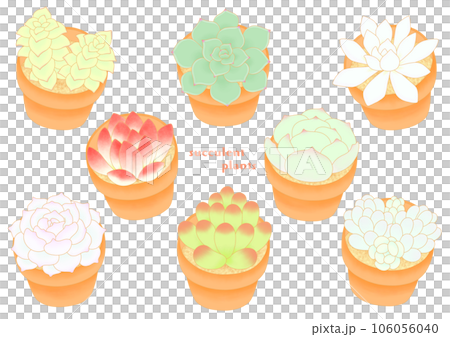 Mini potted illustration set of succulents 106056040