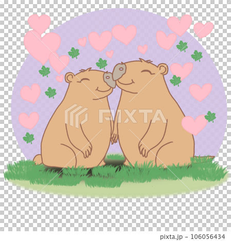 Capybara in love Capybara in love 106056434
