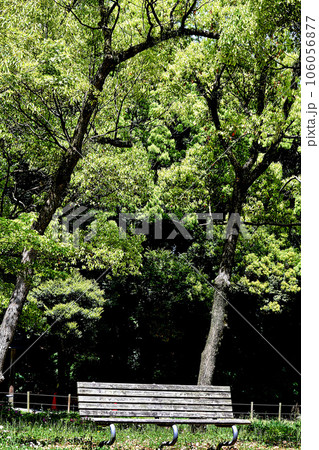 公園 106056877