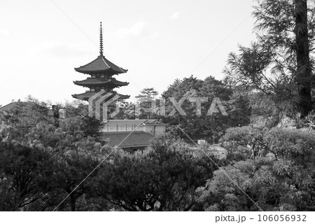 興福寺 五重塔 興福寺 五重塔 106056932