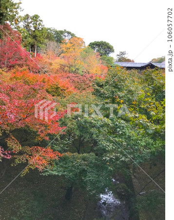 【東福寺】色づき始める庭 106057702