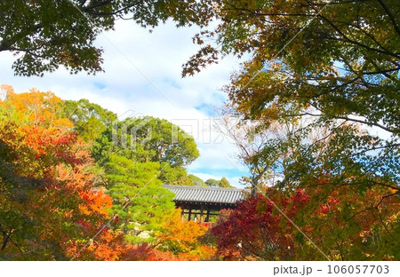 【東福寺】色づき始める庭 【東福寺】色づき始める庭 106057703