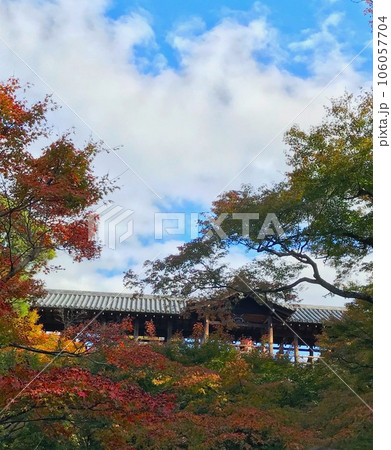 【東福寺】色づき始める庭 【東福寺】色づき始める庭 106057704