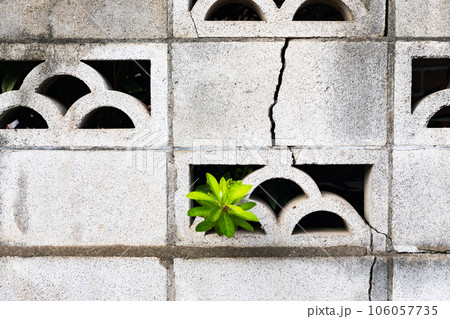 ブロック塀の亀裂 ブロック塀の亀裂 106057735