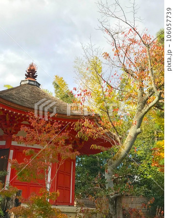 【東福寺】色づき始める庭 106057739