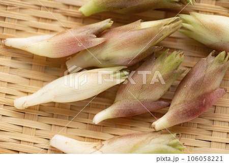 ザルにのせたミョウガ 106058221