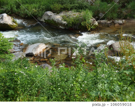清流名倉川の風景 清流名倉川の風景 106059018