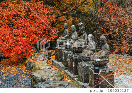 古知谷阿弥陀寺、本堂前庭の石仏「五智如来」 106059187