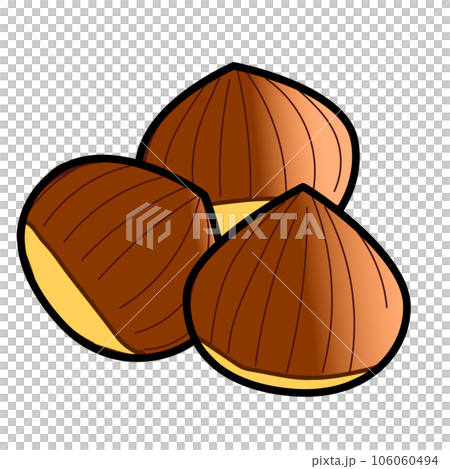 Illustration of chestnut 106060494