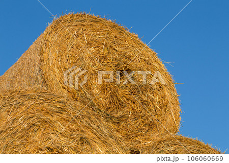 Piled hay bales on a field against blue sky 106060669