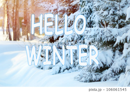 Winter background. Hello Winter lettering inscription. Snowy winter landscape with forest. Frosty, cold weather. Winter background. Hello Winter lettering inscription. Snowy winter landscape with forest. Frosty, cold weather. 106061545