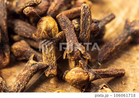 Carnation spice macro close-up. Collection. Dry spice cloves. Selective focus. 106061718