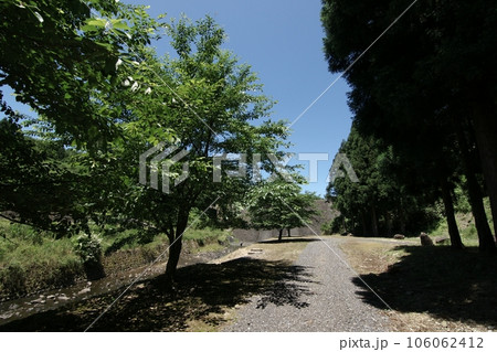 鳥取　四季の散歩　夏　美歎水源地 106062412