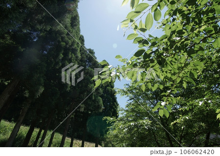 鳥取 四季の散歩 夏 美歎水源地 鳥取 四季の散歩 夏 美歎水源地 106062420