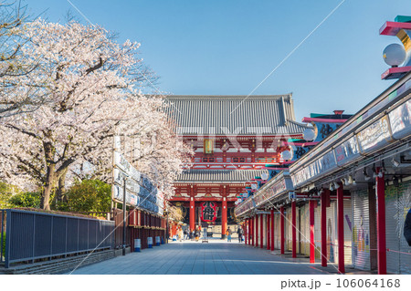 「東京都」仲見世通りの満開の桜 浅草寺 「東京都」仲見世通りの満開の桜 浅草寺 106064168