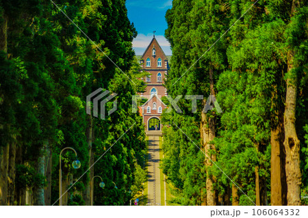 トラピスト修道院と杉並木道 トラピスト修道院と杉並木道 106064332