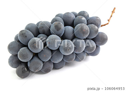 ぶどう（サマーブラック） 106064953