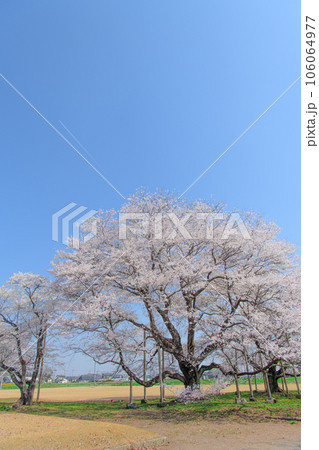 天平の丘公園 106064977