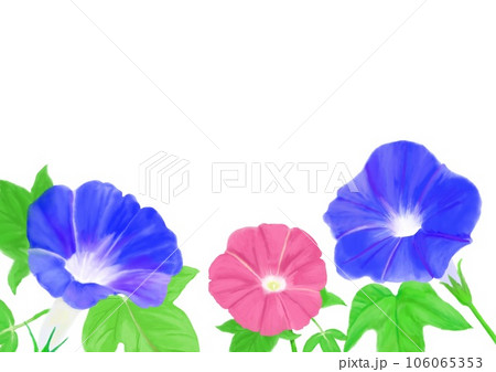 水彩風タッチで夏の風物詩、青とピンクの朝顔の背景素材イラスト！ 106065353