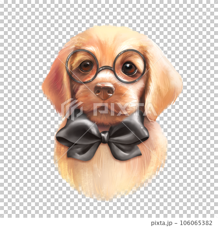 Cute dog. Black bow tie and glasses. Animal illustration, hand drawn Cute dog. Black bow tie and glasses. Animal illustration, hand drawn 106065382