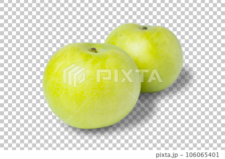 透明背景の梨の写真 青梨 なつひめ 透明背景の梨の写真 青梨 なつひめ 106065401