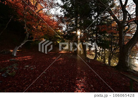 黒井城跡の紅葉 黒井城跡の紅葉 106065428