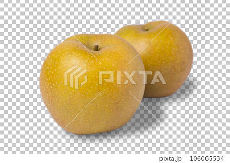 透明背景の梨の写真 赤梨 新甘泉 106065534