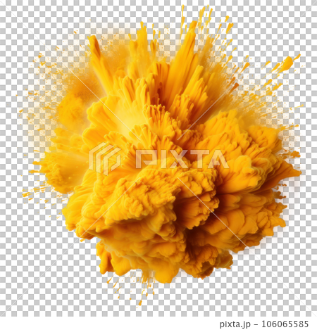 Gold yellow Holi paint splash isolated Gold yellow Holi paint splash isolated 106065585