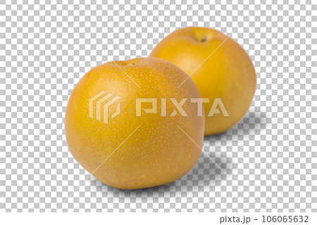 Photo of a pear on a transparent background Red pear Niitaka Photo of a pear on a transparent background Red pear Niitaka 106065632