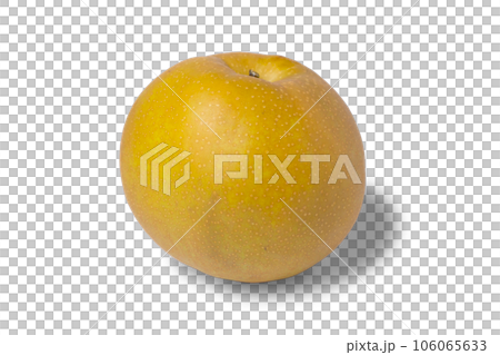 透明背景の梨の写真 赤梨 新高 106065633