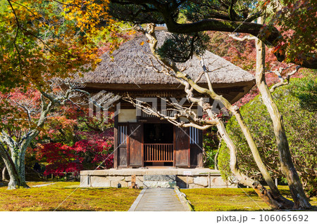 晩秋の古都鎌倉 紅葉の長寿寺 観音堂 晩秋の古都鎌倉 紅葉の長寿寺 観音堂 106065692
