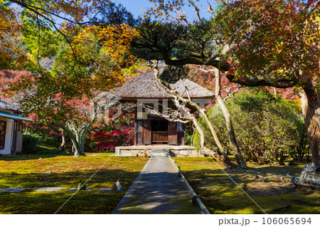 晩秋の古都鎌倉 紅葉の長寿寺 観音堂 晩秋の古都鎌倉 紅葉の長寿寺 観音堂 106065694