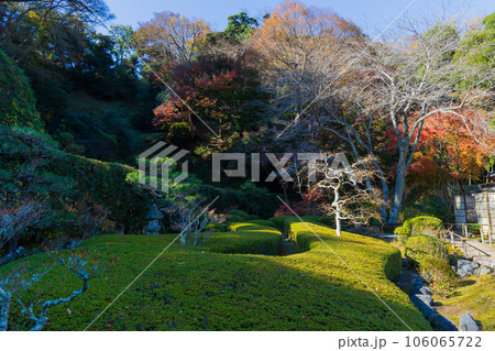 晩秋の古都鎌倉 紅葉の長寿寺 晩秋の古都鎌倉 紅葉の長寿寺 106065722