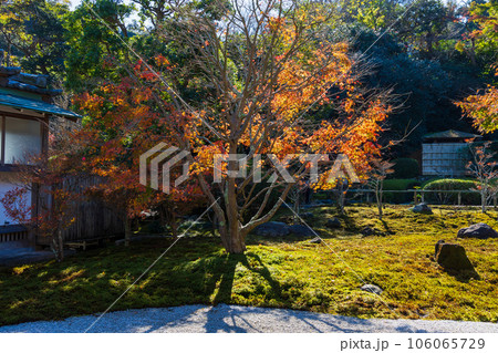 晩秋の古都鎌倉　紅葉の長寿寺 106065729