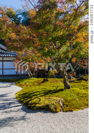 晩秋の古都鎌倉 紅葉の長寿寺 晩秋の古都鎌倉 紅葉の長寿寺 106065732