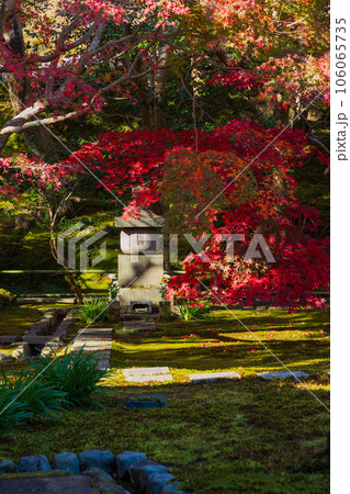 晩秋の古都鎌倉 紅葉の長寿寺 晩秋の古都鎌倉 紅葉の長寿寺 106065735