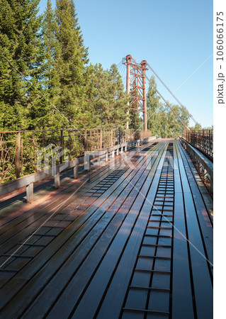 Cable-stayed bridge over Katun river, vertical photo 106066175
