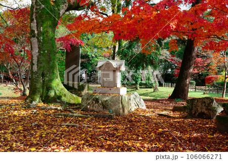 足守藩主大名庭園 晩秋の近水園 紅葉の庭2 岡山県岡山市北区足守 足守藩主大名庭園 晩秋の近水園 紅葉の庭2 岡山県岡山市北区足守 106066271
